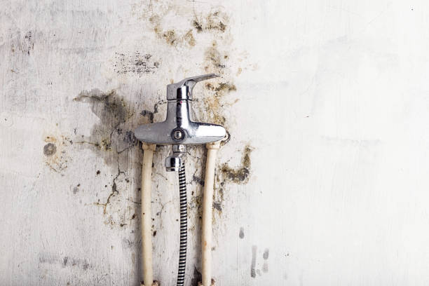 Best Water Damage Restoration  in Ocala Estates, FL