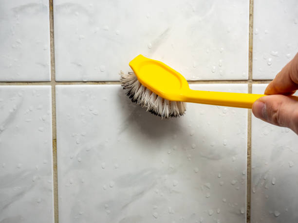 Best Professional Mold Removal  in Ocala Estates, FL