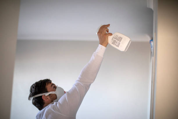 Best Mold Removal Specialists  in Ocala Estates, FL