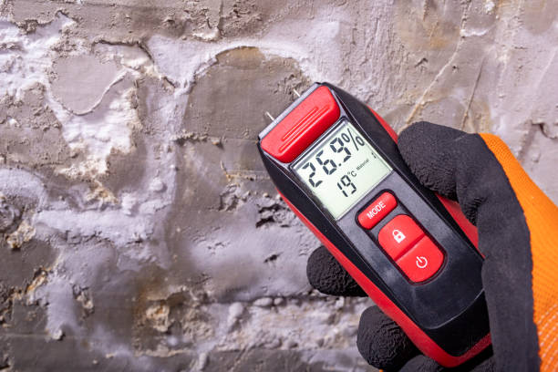 Attic Mold Removal in Ocala Estates, FL